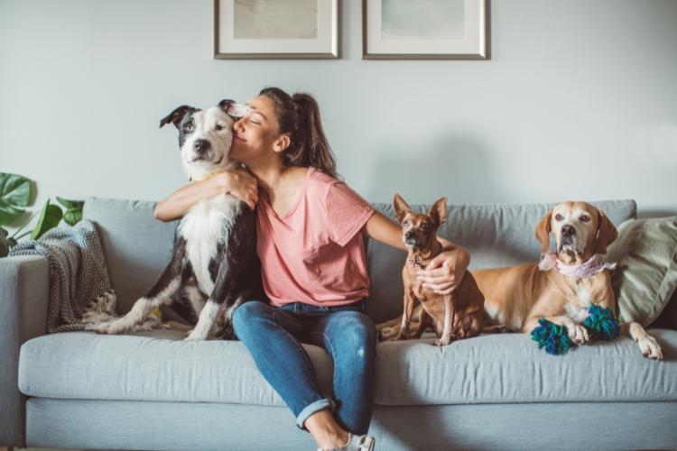 Pet Sitting